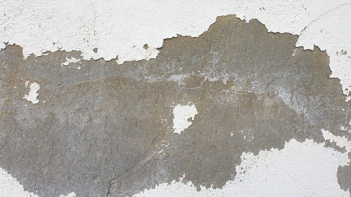 Mur de soubassement présentant des traces d'humidité et de salpêtre typiques d'une remontée capillaire